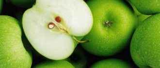 рассказ «Антоновские яблоки» Бунина